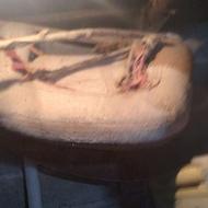 پالان اسب نو