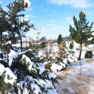 کار در باغ رستوران