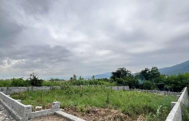 فروش زمین  500 متر در امامرود زیر قیمت فوری«««