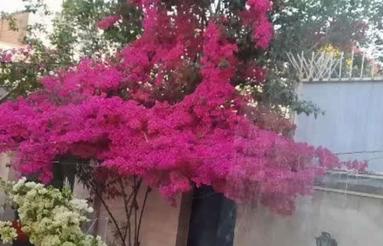 خانه ویلایی با مکان دنج