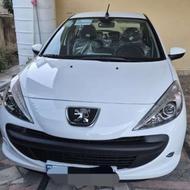 207 مدل 404 نوک گلگیر راست لیسه1404