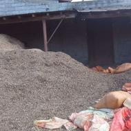 پوست بادام شمارا خریدارم