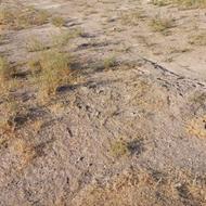 زمین مسکونی