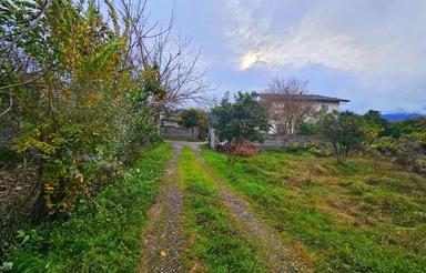 فروش زیر قیمت زمین مسکونی در رامسر