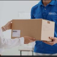 استخدام همکار خانم