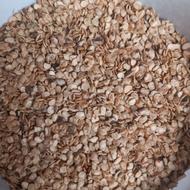 دانه‌فلفل‌سوزنی