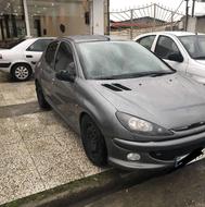 پژو 206 تیپ 5 دور رنگ