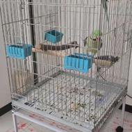 2قفس مخصوص طوطی سانان بزرگ جثه آرا کاسکو شاطوطی ملنگو عروس