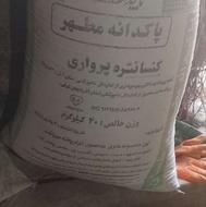 کنسانتره مازاد زیر قیمت بازار