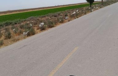 اجاره زمین کشاورزی با اب