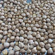 فروش نخود و عدس