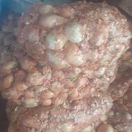 پیاز برای دام