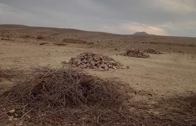 زمین برای باغ یا خانه