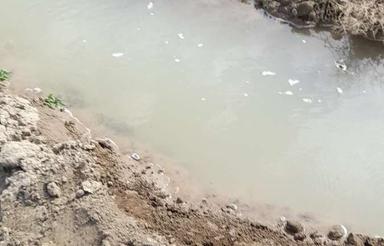 زمین کشاورزی