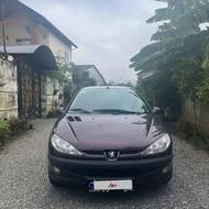 اس دی مدل93 بی رنگ