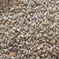 مغز آفتابگردان