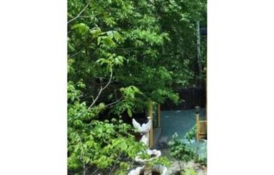 فروش فوری زمین کشاورزی (بهترین لوکیشن دیزج)