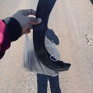 تیوپ دوچرخه 16 و 20