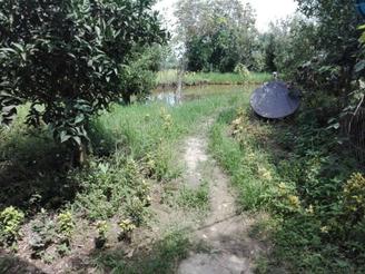 فروش ویلا 1000 متر در جاده کلدره رودسر