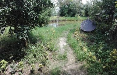 فروش ویلا 1000 متر در جاده کلدره رودسر