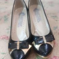 دو جفت کفش مجلسی