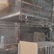 قفس 40در 60 و کاسکوی