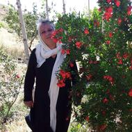 جراح قدیمی باسابقه 30 سال