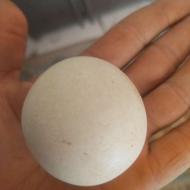 فروش سنگ آسیاب