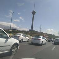 راننده شخصی