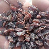 آفتابی وکشمش