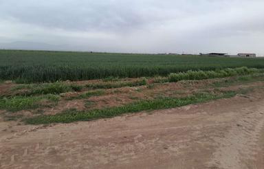 املاک صعنتی کشاورزی ویلای کارگاهی