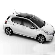 207 پانوراما اتومات سقف شیشه ای 1404