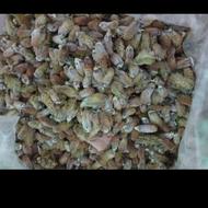 بید مشک عطاری