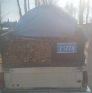 برگ پوسیده چنار وکاج