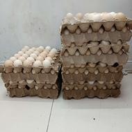 تخم مرغ محلی