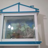 آکواریوم پمپو بخاری