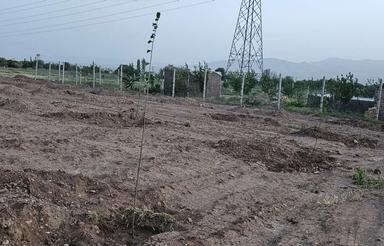 1000 متر زمین کشاورزی