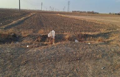 زمین 1200متر برجاده سند قطعی