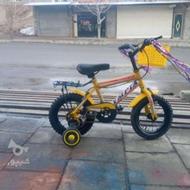 دوچرخه سایر 12