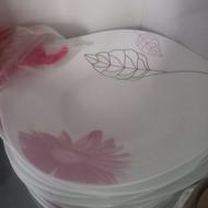 ارکوپال نو 6 نفره