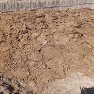 کود حیوانی،