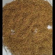 بذر یونجه خالص از نوع سیاه