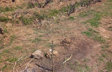 زمین به همراه آب