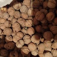 گردو محلی درشت