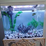 آکواریوم زیبا