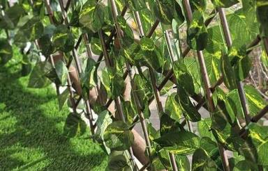 فروش ویلا محبوبی25میلیارد