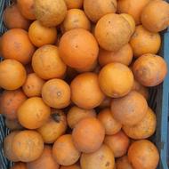 پرتقال خونی آبگیری کیلویی 20تومن، پرتقال خونی کیلویی 45تومن