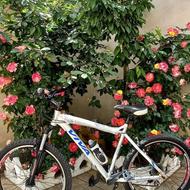 دوچرخه ویوا VIVA