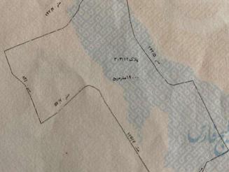 فروش باغ چای