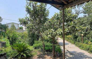 فروش زمین مسکونی